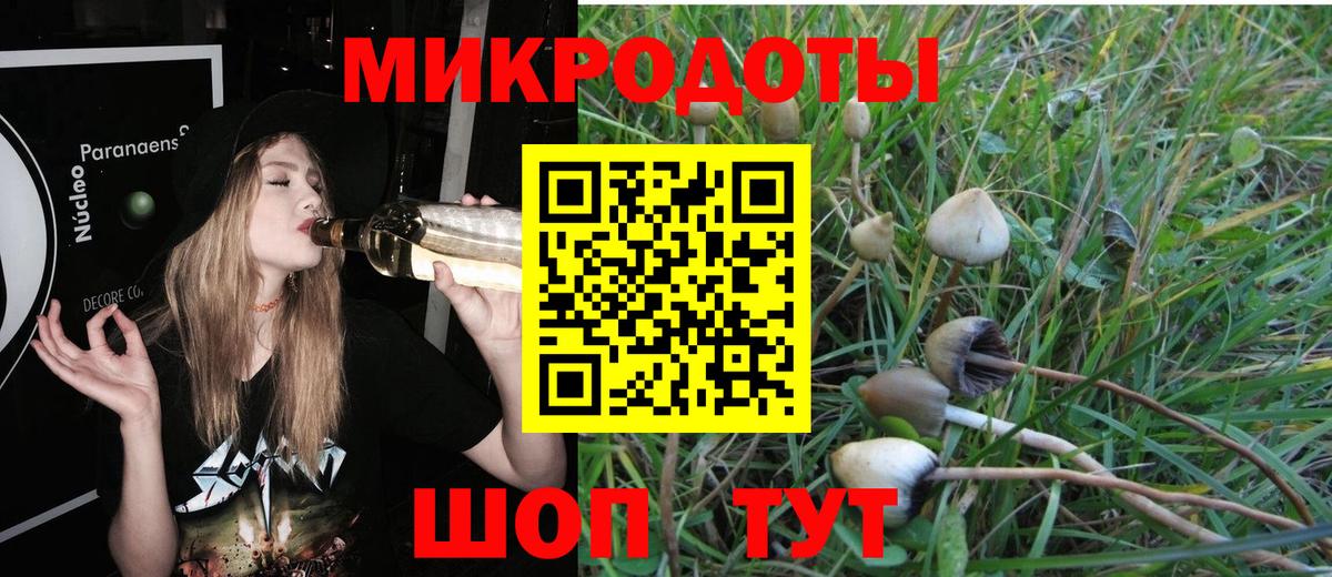 Псилоцибиновые грибы GOLDEN TEACHER  Вход с VPN  Галлюциногенные грибы MAGIC MUSHROOMS  Йошкар-Ола 